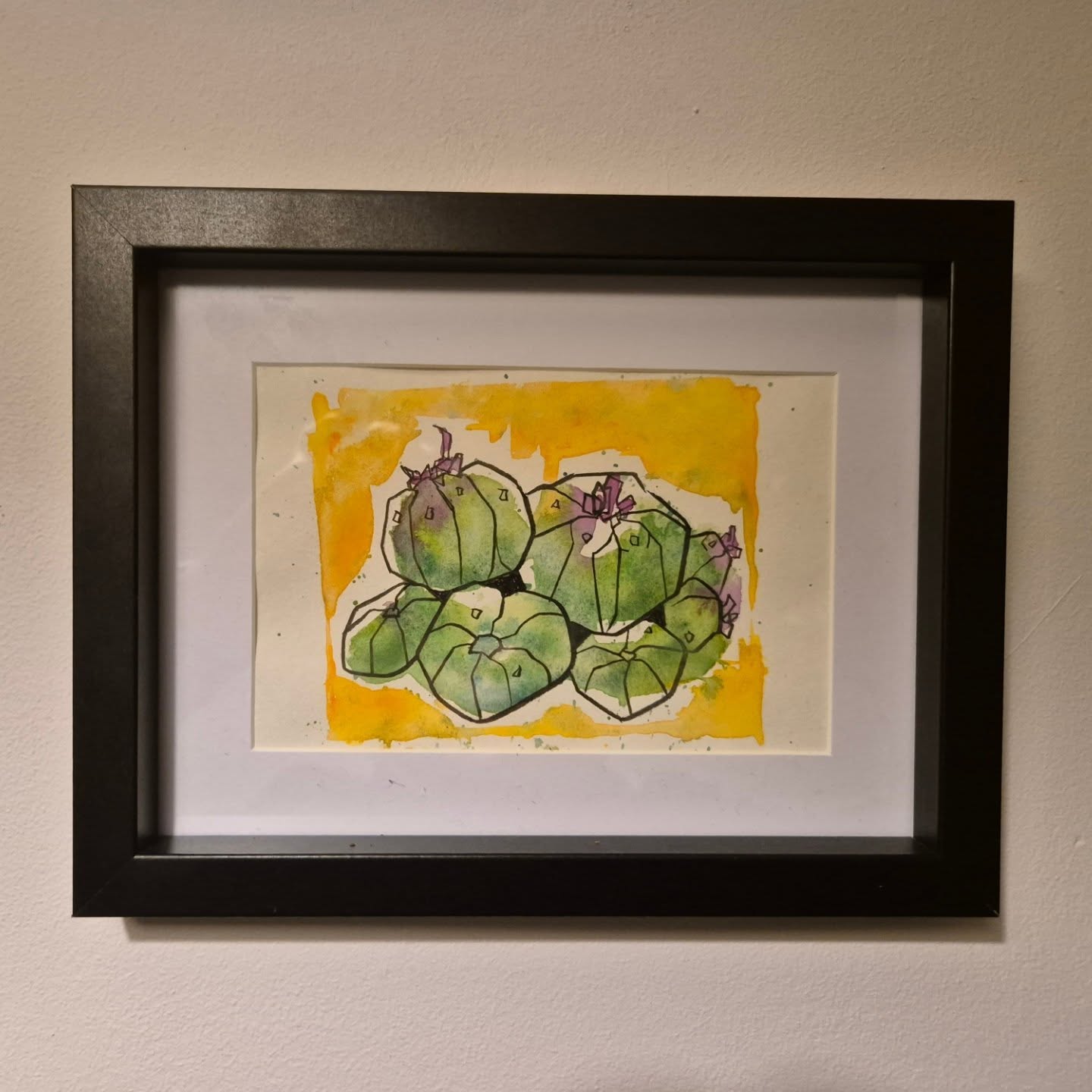 Peyote
